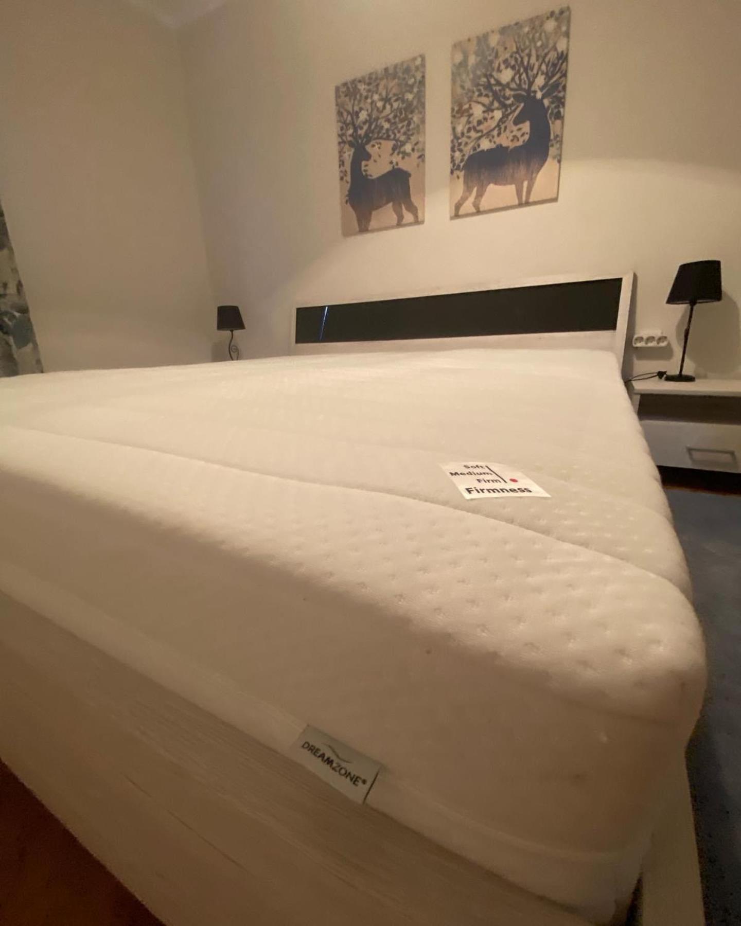 Apartman Colapis- Self Check In, Free Parking, Premium Location! Karlovac Buitenkant foto